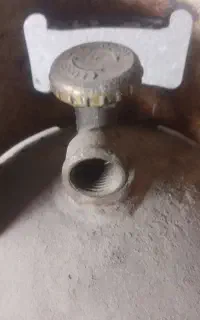 ۱عددکپسول بوتان
