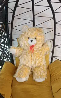 خرس مهربون دونه ای ۲۰۰