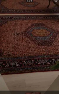 فرش ریزه ماهی  یک جفت