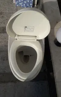 توالت فرنگی