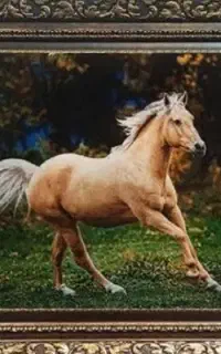 آموزش تابلو فرش