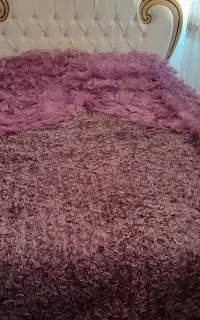 روتختی نو نو