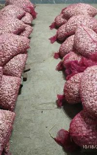 فروش سیر توافقی