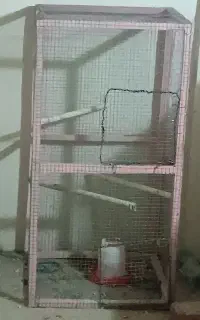 قفس چوبی پرنده