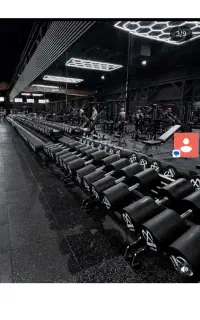 اجاره یا شراکت