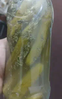 خیارشور محلی