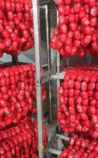 افراد جویای شغل کسب درآمد میلیاردی ایجاد مرکز پخش