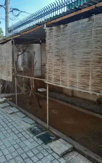 قفس بزرگ و کوچک