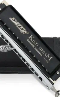 هارمونیکا ساز دهنی