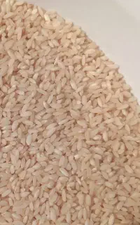 برنج عنبربو به شرط پخت