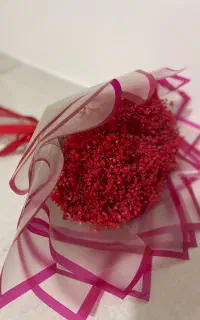 دسته گل ژیپسوفیلا قرمز