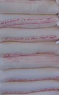 آرد گندم