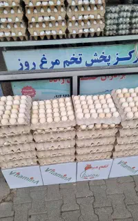 تخم مرغ محلی