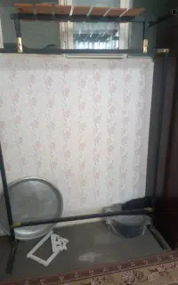 رگال
