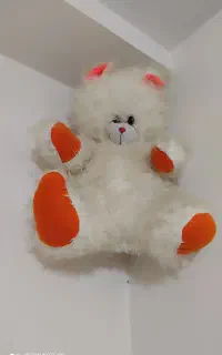 خرس بزرگ