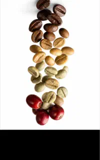 فروش پخش دان قهوه بصورت عمده و خورده