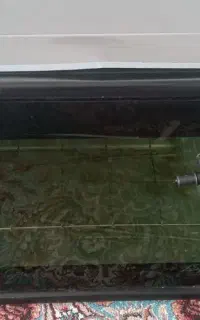 توستر نو