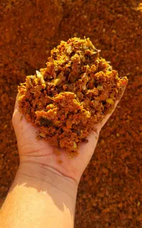 خوراک دام فوق العاده اقتصادی تفاله سیب