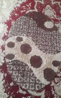 پادری شیک واسپرت