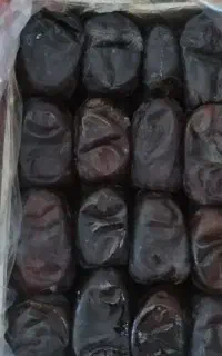 فروش خرما