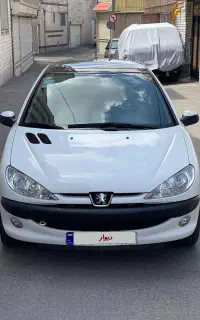 206 تیپ ۳ پانا