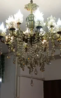 لوستربرنز ۱۶لاله