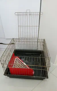 قفس خرگوش