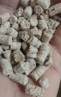 کنسانتره خوراک دامی پلت خوراک دام تسویه در محل
