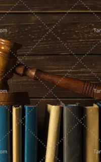 وکیل دادگستری و مشاور حقوقی