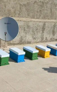 کندو  پنج قاب کف باز