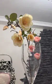 دو عدد شاخه گل نو