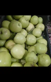 سیب گلابی تازه