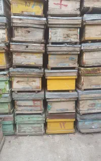 قیمت‌450000