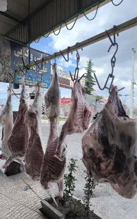 شاگرد . کار . شغل