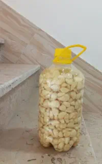 سیر ترشی