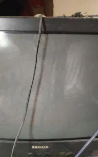 تلوزیون۲۴