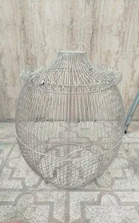 قفسه پرند