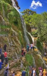 تور یک روزه نیاسر با اتوبوس وی آی پی