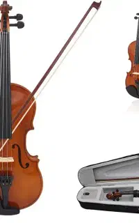 Violin phoenix