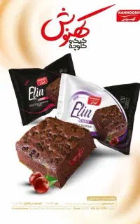 حسابدار خانم