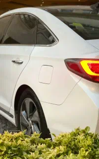 سوناتا LF
