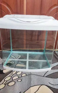 اکواریوم شرکتی شیشه خم دلسا