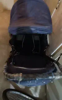 کالسکه دو قلو