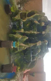 آلاچیق  آبنما  کلبه  استخر  نما آبشار