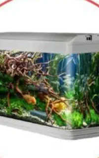 آکواریم شرکتی دلسا