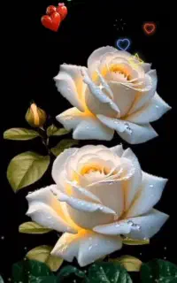 فروش سیم کارت صفر 09910892885