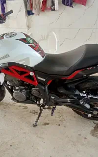 بنلی300