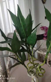 گل مصنوعی بامبو ریشه دار خارجی