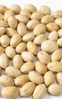 پسته دنبست کله قوچی