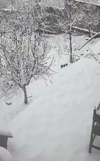 استخدام نگهبان و سرایدار باغ